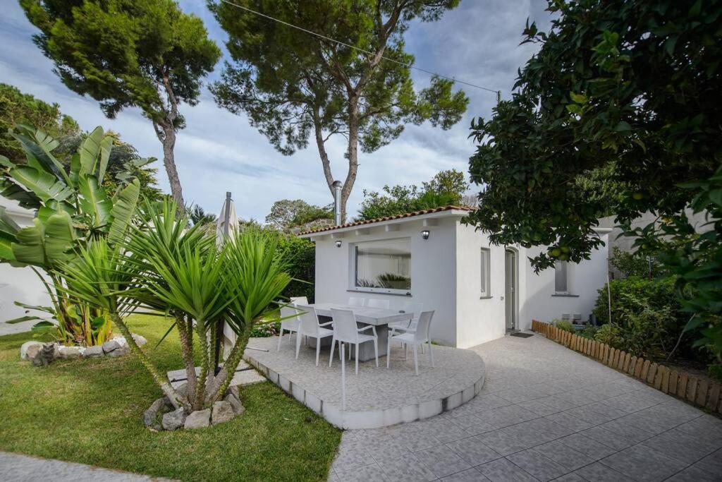 Casa Vacanza M&C Ischia Forio di Ischia Eksteriør billede